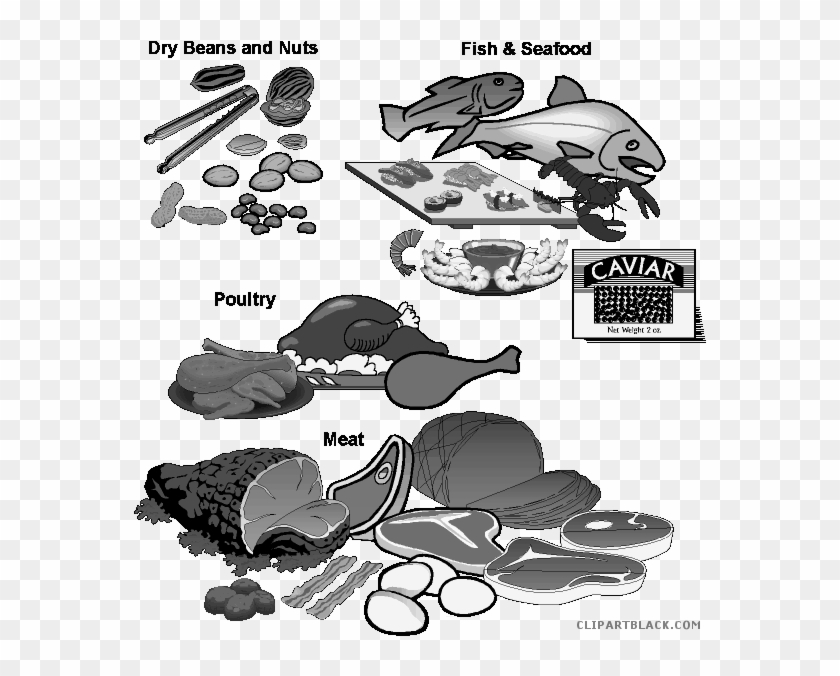 Latest 19 Fish Food Graphic Transparent Library Huge - Basic Food Groups Clipart #4810476