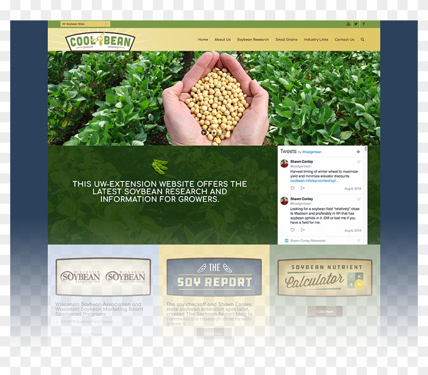 Cool Bean - Farm Production Clipart