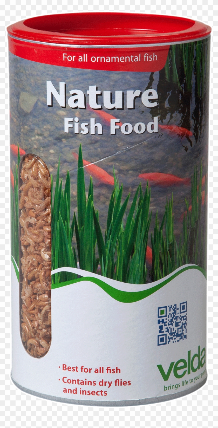 Vijver Natuur Voer Clipart