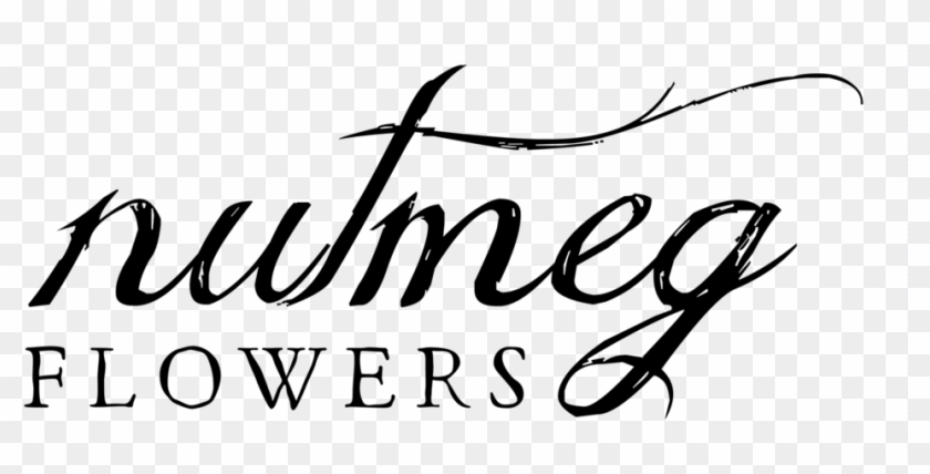 Nutmeg Png , Png Download - Calligraphy Clipart