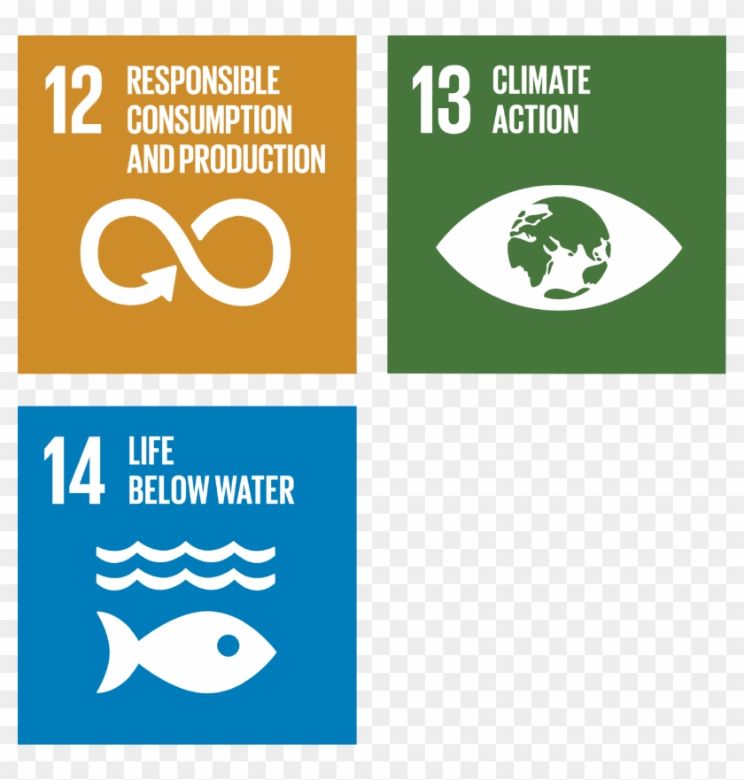 Global Goals - Sustainable Goals Climate Action Clipart #4811128