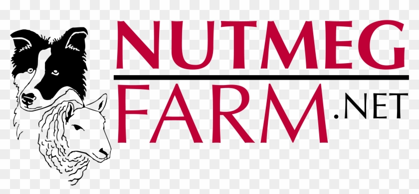 Clip Art - Png Download #4811603