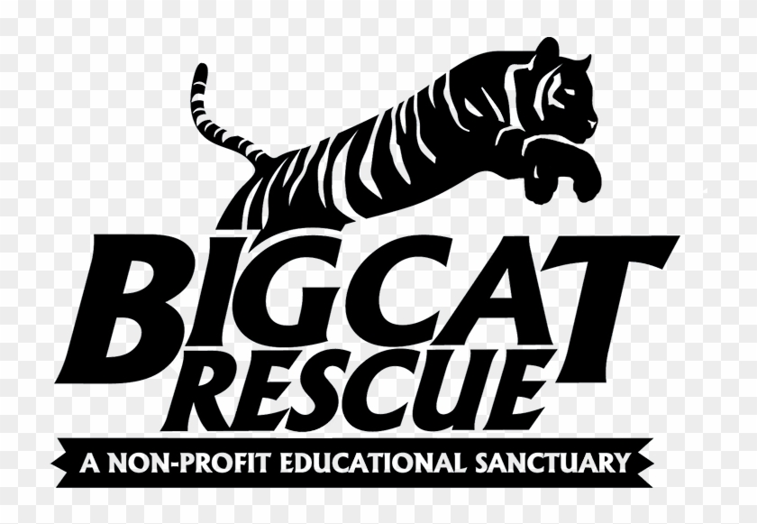 Big Cat Rescue Tampa Logo Clipart #4813221