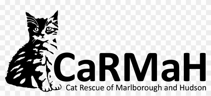 Adopt A Cat - Environment Canada Clipart