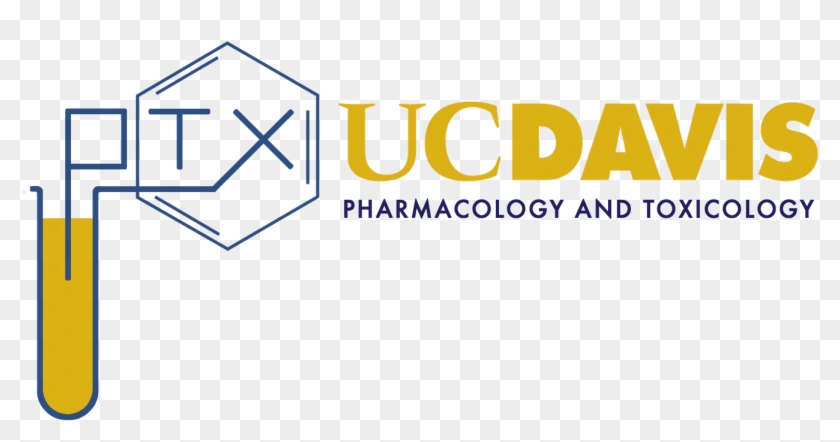 Pharmacology And Toxicology Graduate Group - Uc Davis Pharmacology And Toxicology Clipart #4815329