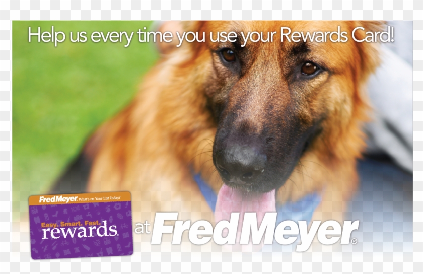 Fred Meyer Rewards Card & Clackamas Dogs Foundation - Old German Shepherd Dog Clipart