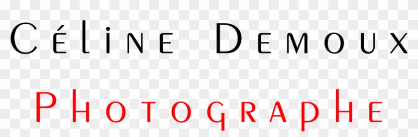 Logo - Colorfulness Clipart #4819150