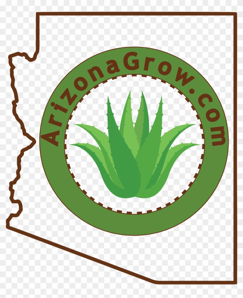 Arizona Gardening Guide To Growing Great Plants - Clutch Clipart