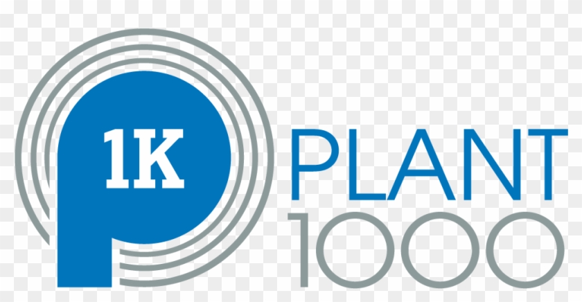 Media Kit - Circle Clipart