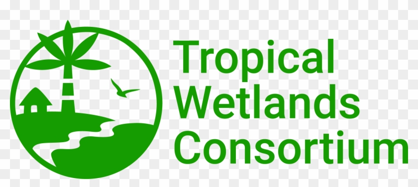 The Tropical Wetlands Consortium Brings Together A Clipart #4820401