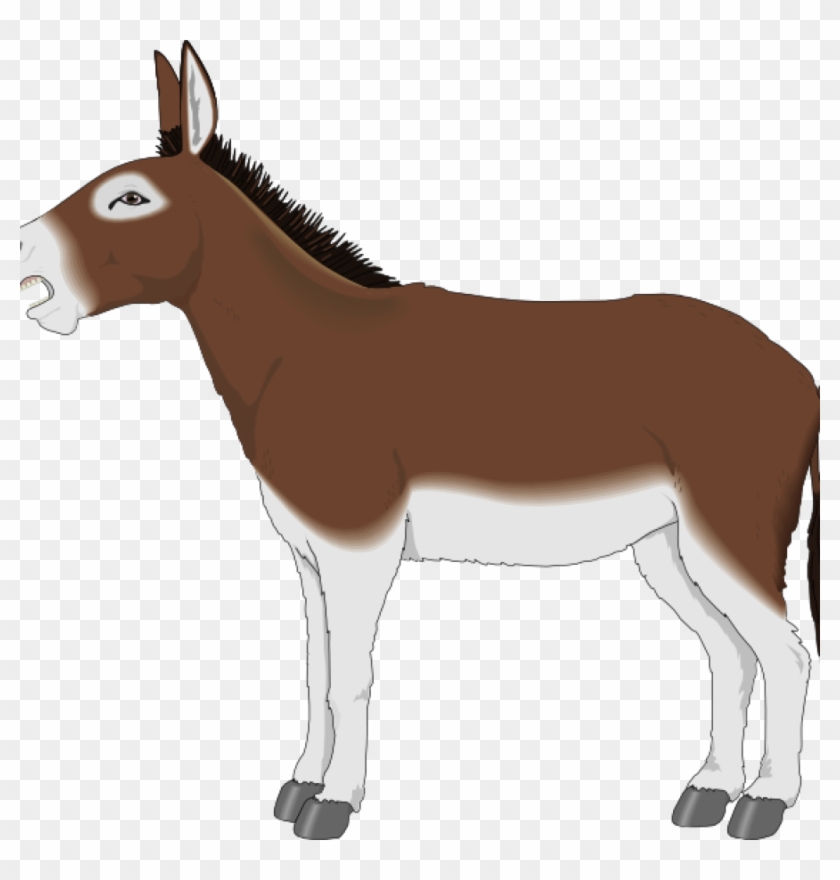 Donkey Clip Art Rose Clipart Hatenylo - Cartoon Donkey Side View - Png Download
