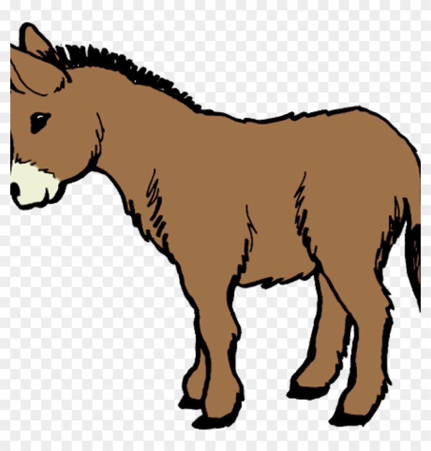 Vector Free Download Clip Art Rose Hatenylo Com Image - Imagenes De Un Burro Para Colorear - Png Download