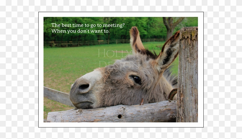 Donkey Best Time To Go A Meeting When You Don't Want - Don T Want To Go To Meeting Clipart