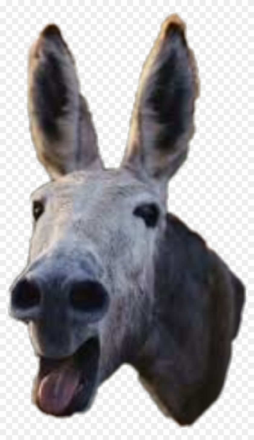 Donkey Sticker - He Falls Asleep While You Re Talking Clipart #4822831