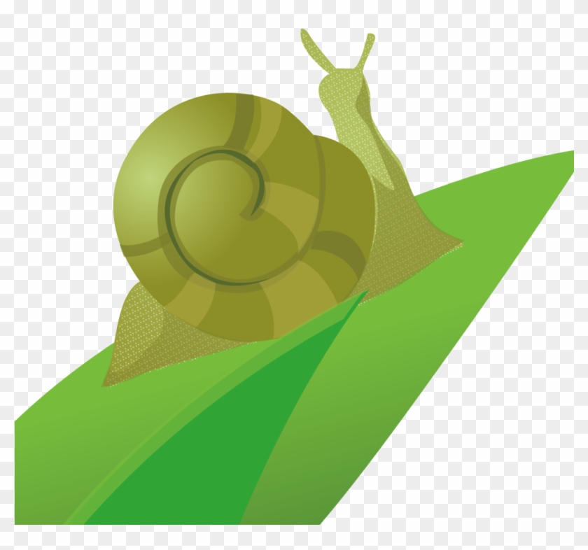 Lymnaeidae Clipart