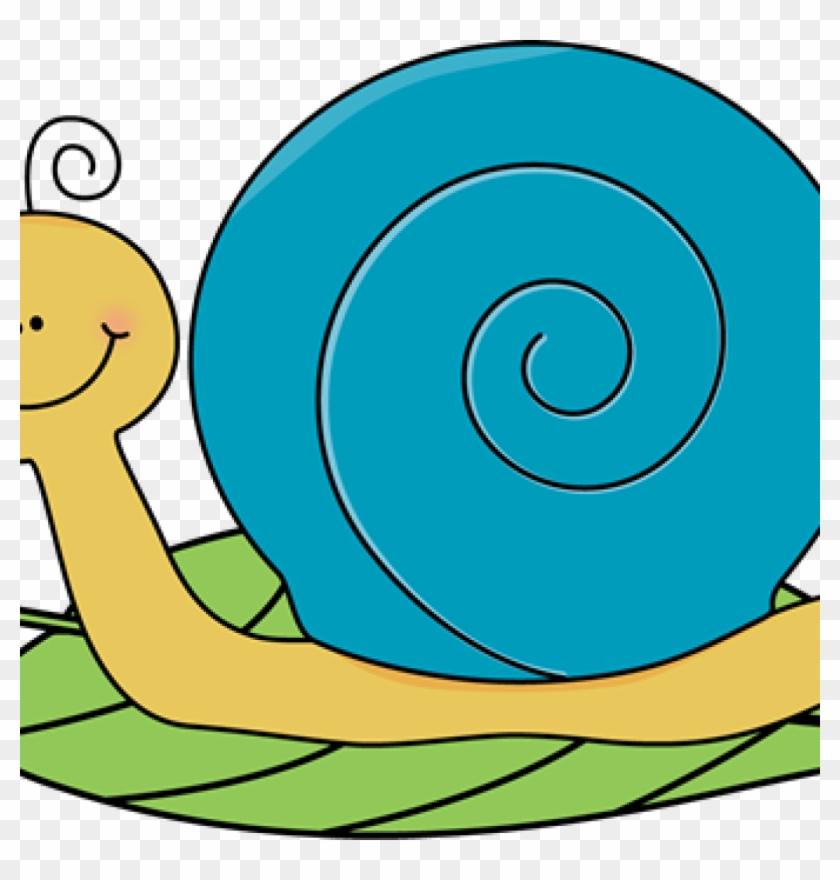 Snail Clipart Owl Clipart Hatenylo - Snail Clipart Transparent Background - Png Download