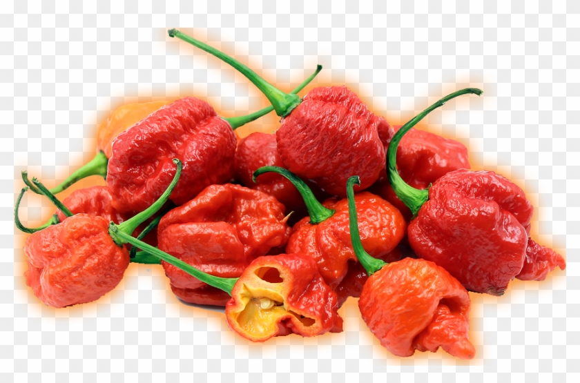 Carolina Reaper Png Clipart