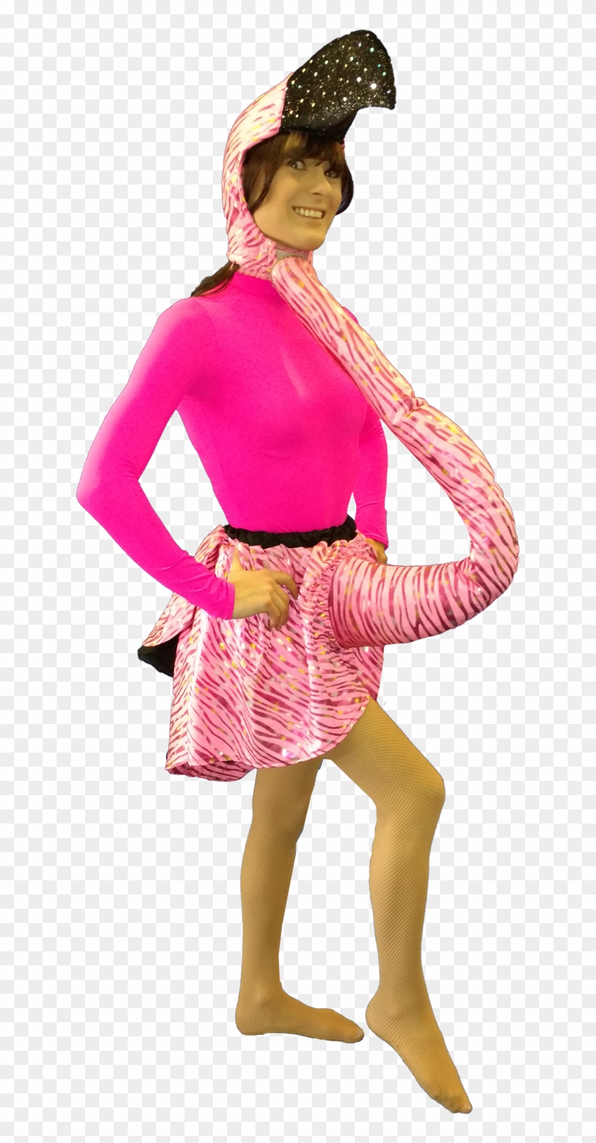 Dolphin Front - Illustration Clipart