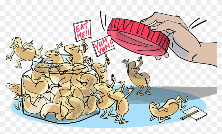 Behavioral Economics From Nuts To 'nudges' - Behavioral Economics Examples Clipart
