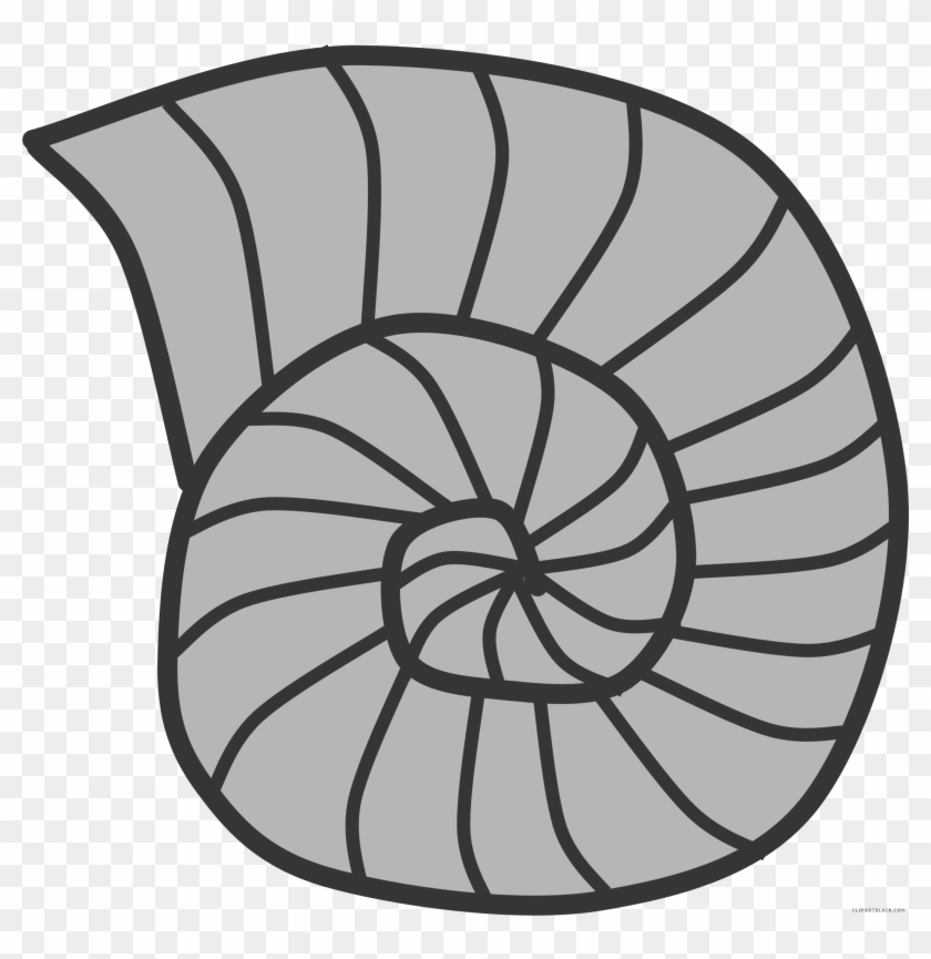 Coloring Clipart Snail - Animal Shell Clipart - Png Download