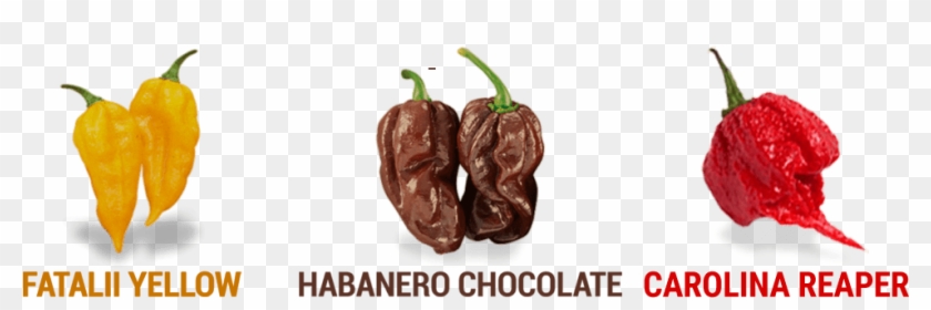 Frutti Fatalii, Habanero E Carolina Reaper - Bird's Eye Chili Clipart