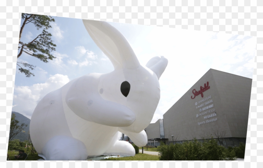 Starfield Hanam Shopping Theme Park Rabbit - Domestic Rabbit Clipart #4825217