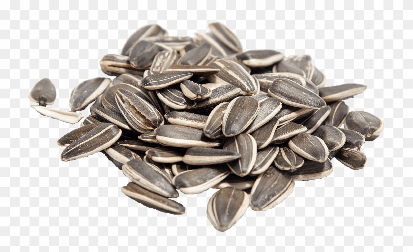Sunflower Seeds Png - Semente Girassol Png Clipart