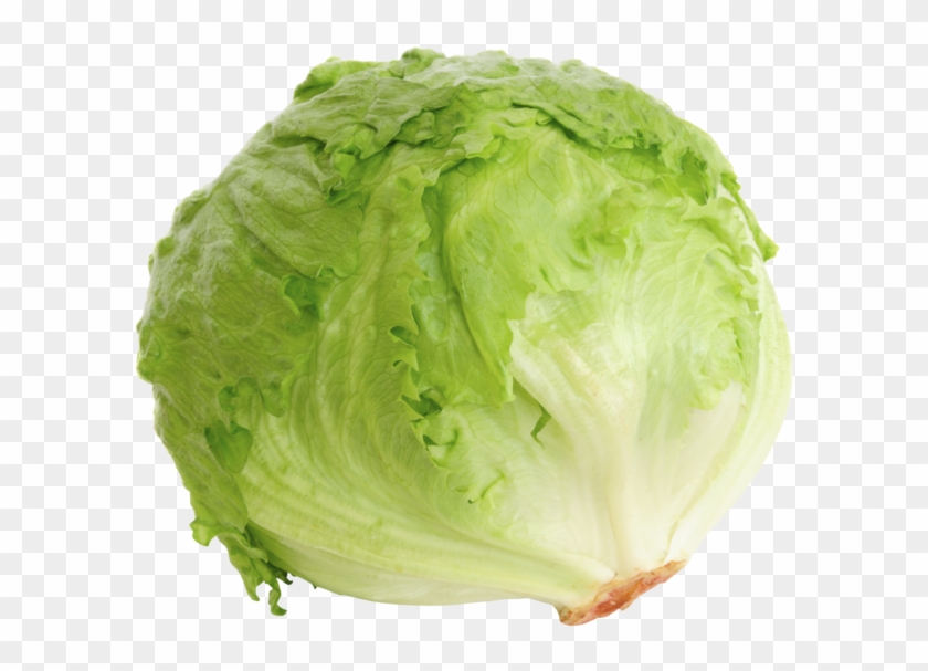 Head Of Lettuce Png Clipart