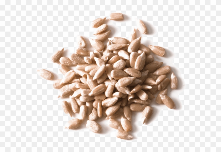 Sunflower Seeds - Dinkel Wheat Clipart #4825688