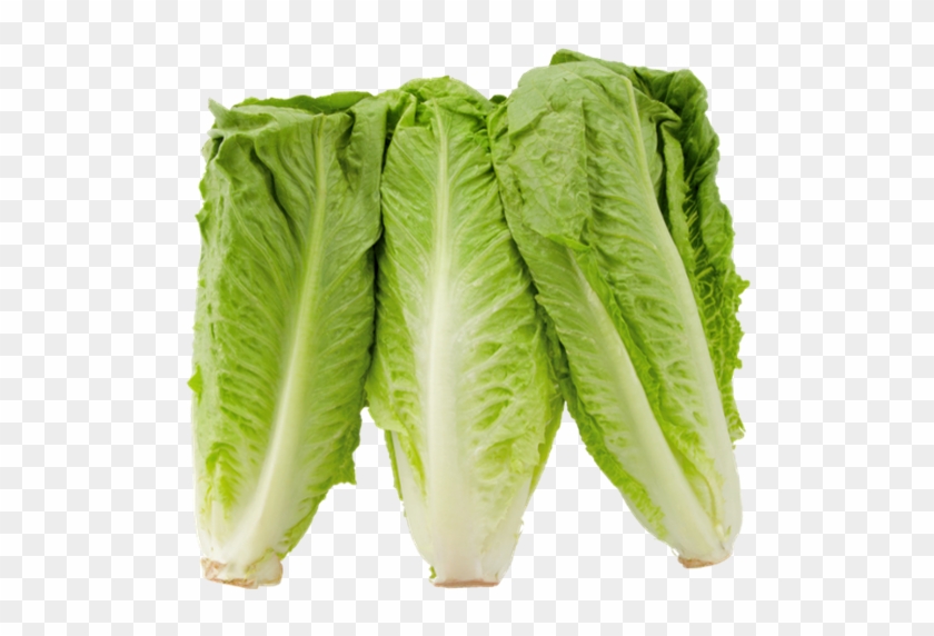 Price Clipart #4825835