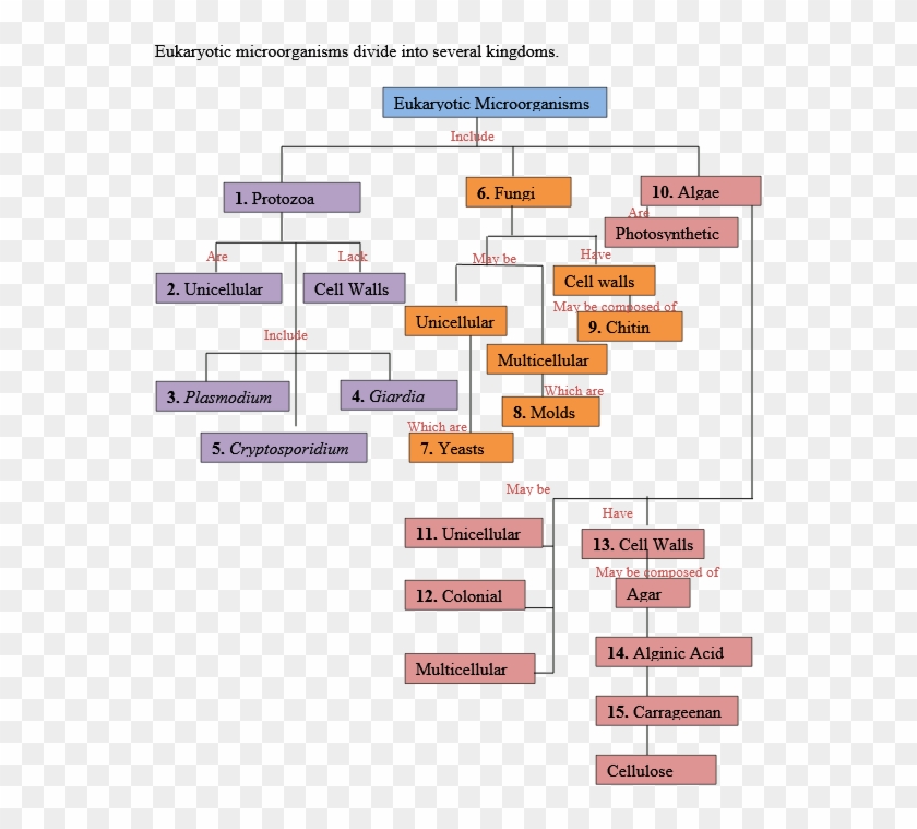 Screenshot Clipart #4826355