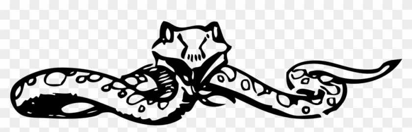 Snake Word Search Clipart #4826484