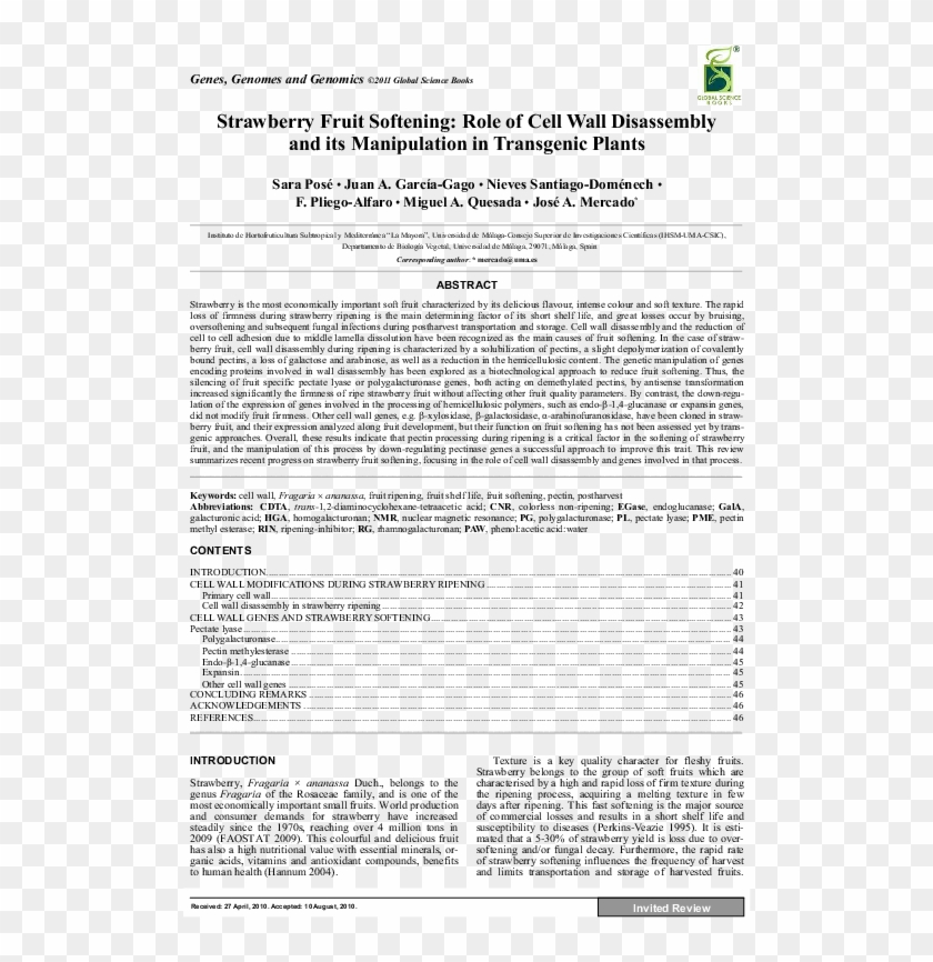 Document Clipart #4826810