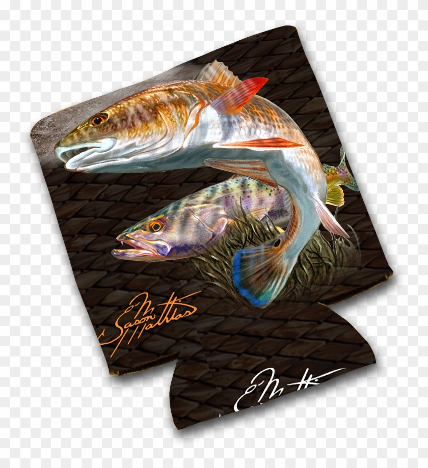 Jason Mathias Art Koozies & Coolie Cups - Trout Clipart