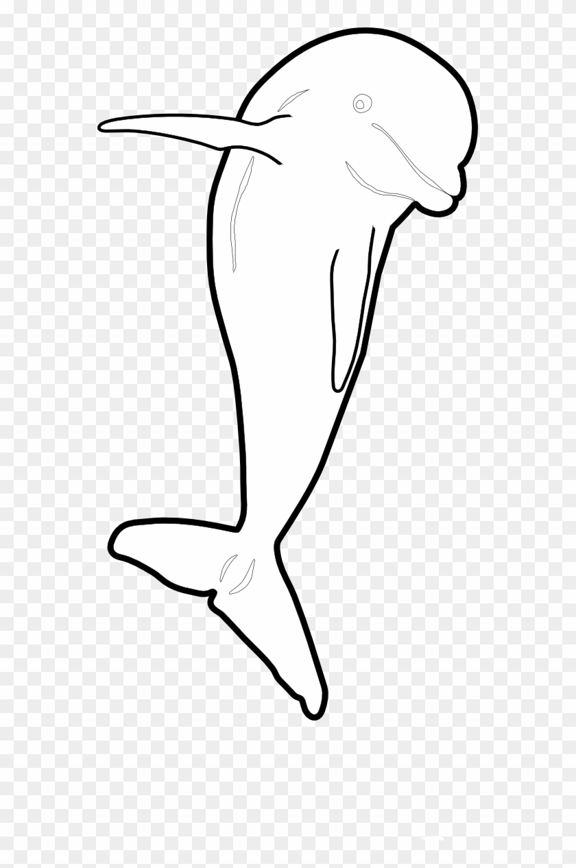 Dolphin Jumping Front Nmmp Dolphin Black White Line - Illustration Clipart