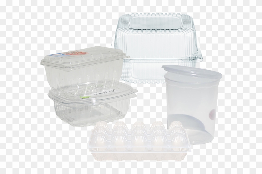 Photo By - - Lid Clipart