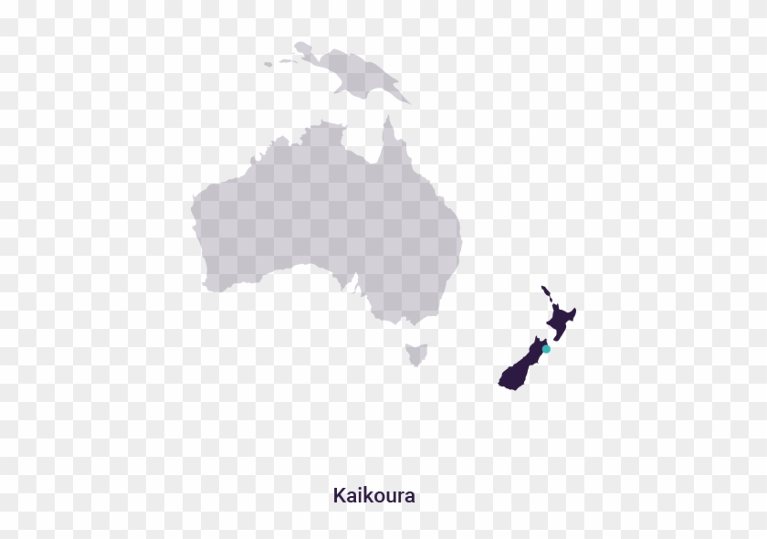 Swimming With Dolphins - Local Winds Of Australia Clipart #4829568