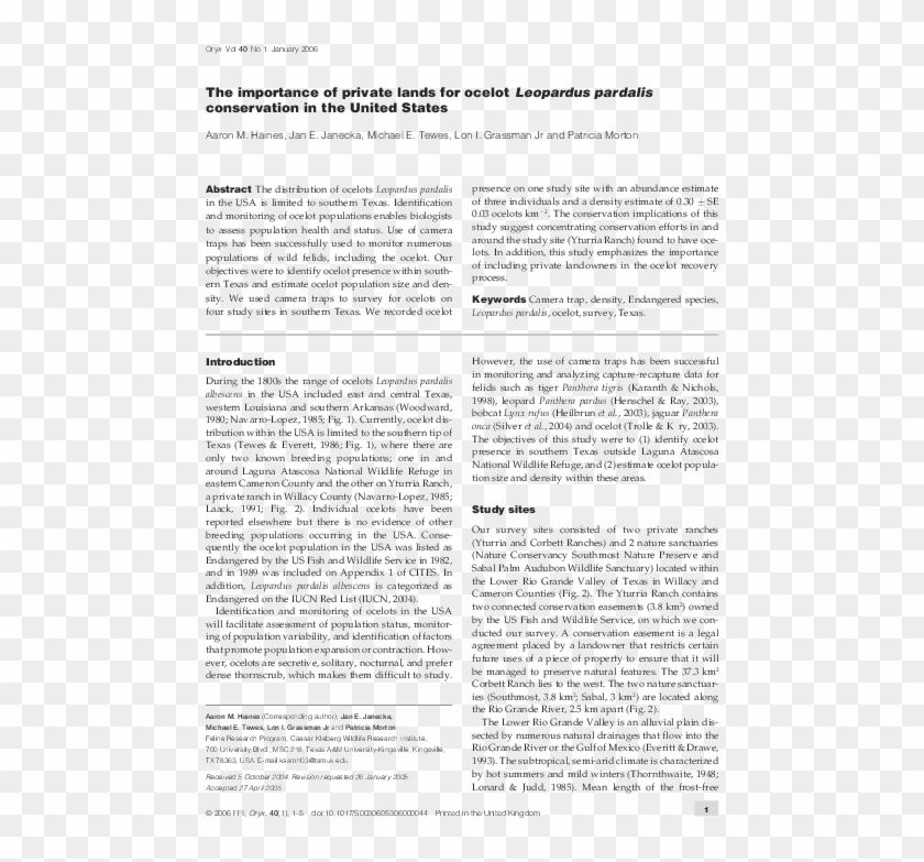 Pdf - Text Page - Holy Land - The Necropolis Clipart