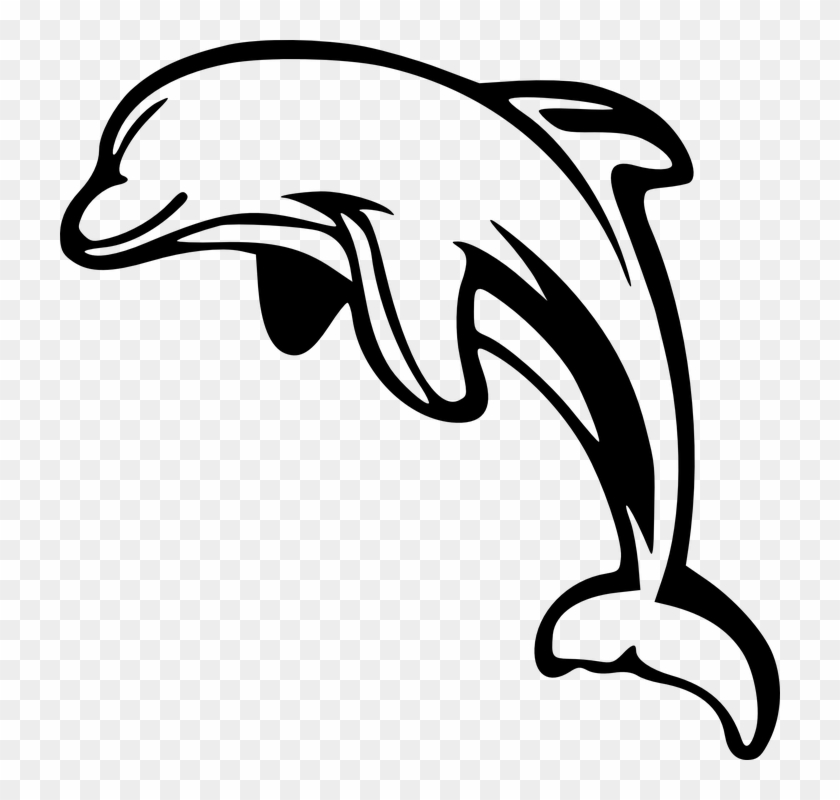 Dolphin Black N White Clipart