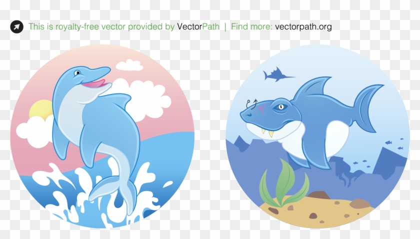 Funny Dolphin & Shark Illustrations - Cartoon Clipart