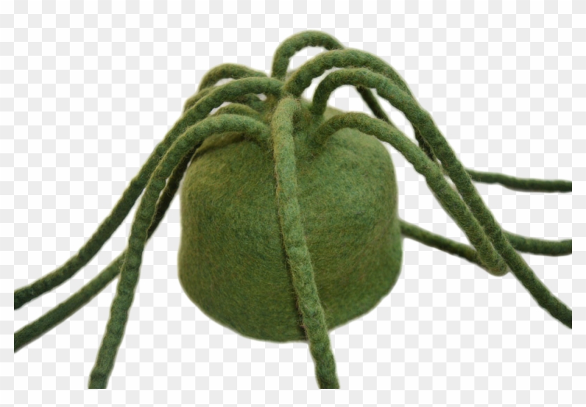 Felt Hat - Insect Clipart