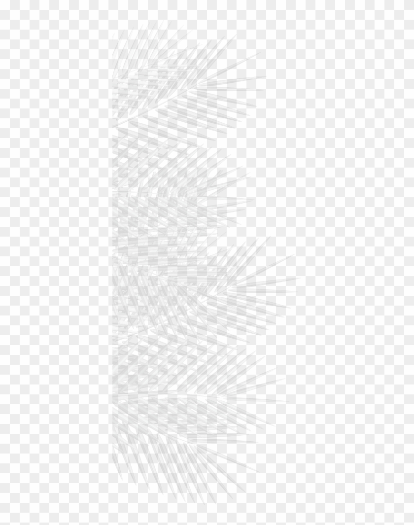 Home > Places > Beauty > Nerio Camargo Lash, Brow & - Monochrome Clipart #4834941