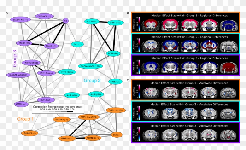 Clustering Of The Autism Models Clustering Of The Models, - Circle Clipart #4835487