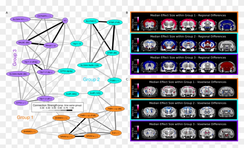 Clustering Of The Autism Models Clustering Of The Models, - Circle Clipart