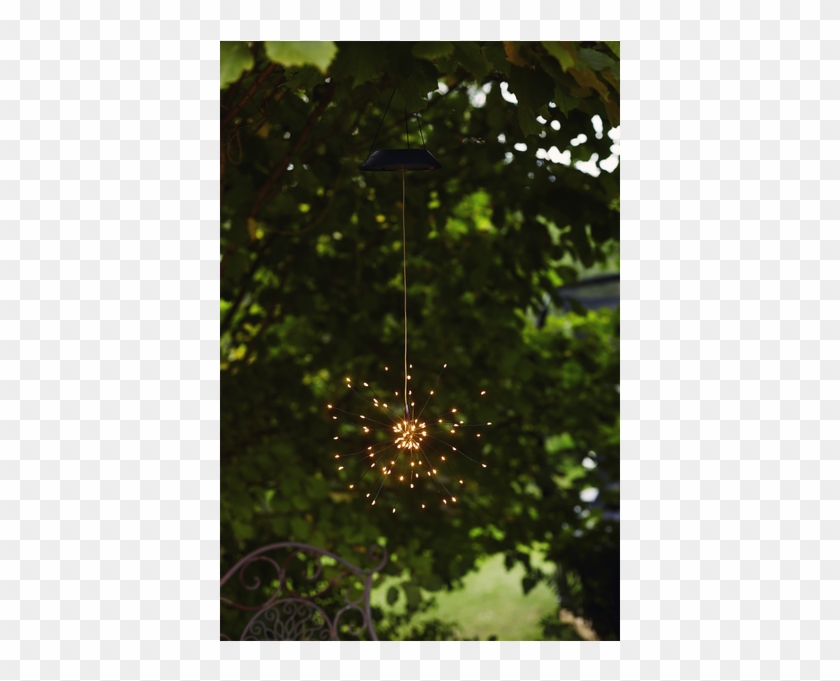 Solar Decoration Firework Solar - Tree Clipart #4835732