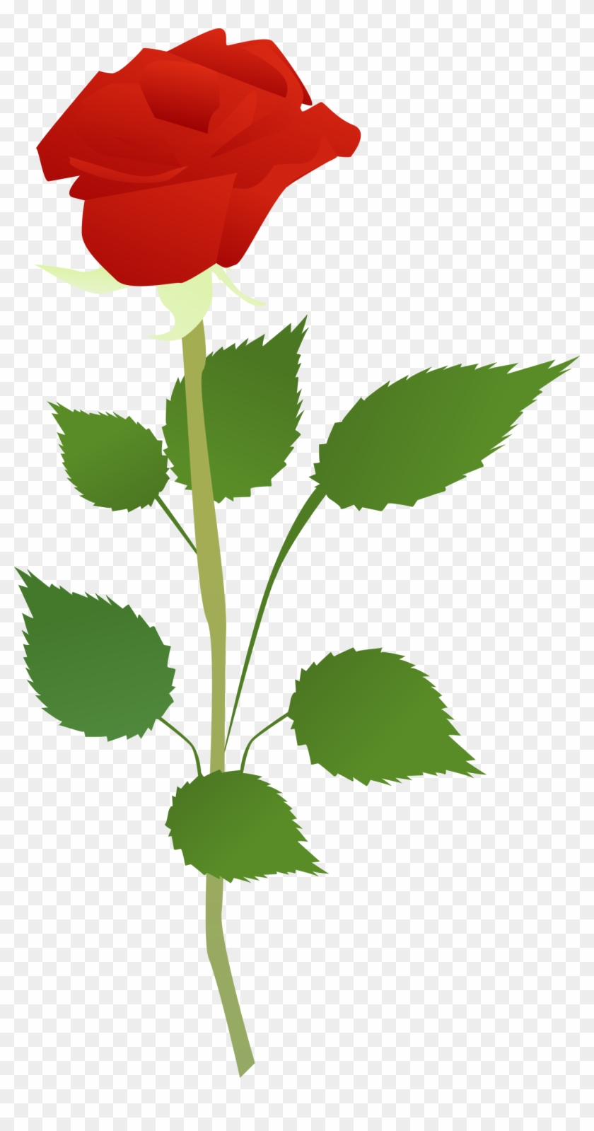 Flower Big Image Png - Clip Art Transparent Png #4835914