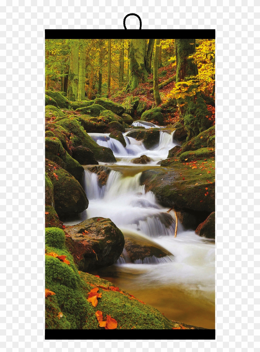 Invroheat Websales Is Based In The Netherlands - Photography Clipart #4836096