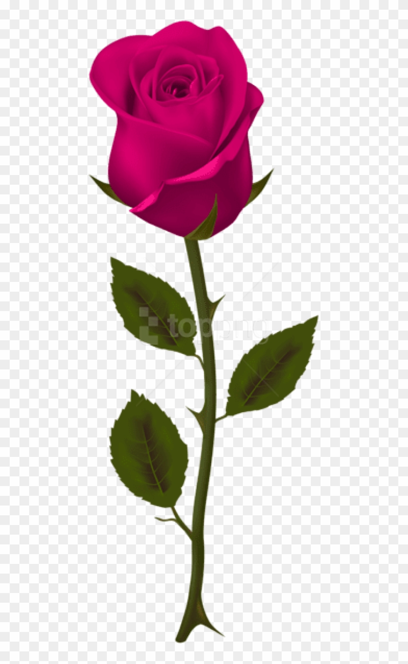 Download Pink Rose Png Images Background - Clip Art Red Rose Transparent Png #4836405