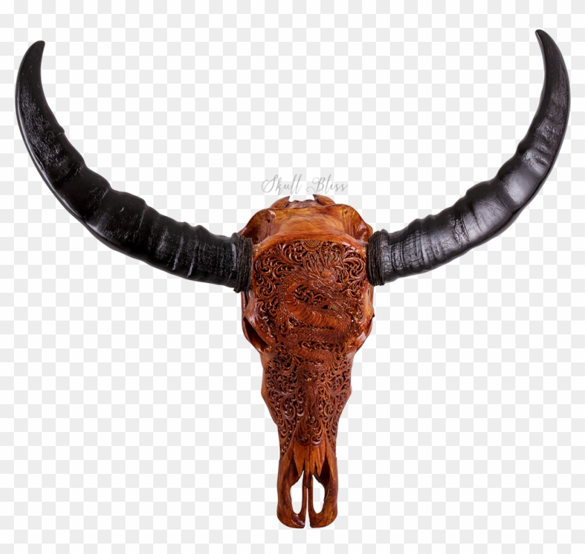 Texas Longhorn, Water Buffalo, Horn, Cattle Like Mammal Clipart #4836984