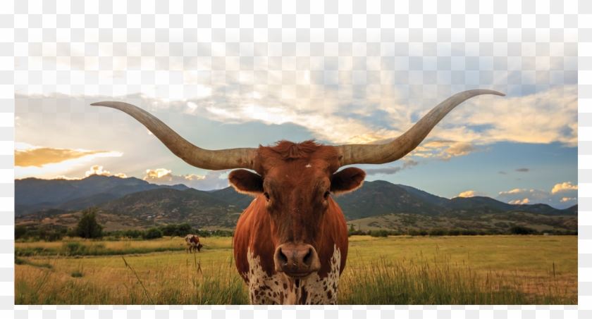 Humble Dentistry - Screen Lock Wallpaper Windows 10 Clipart